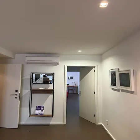 ビナパートメンツ パラシオ *
